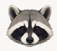 Raccoon